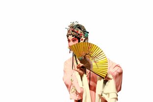 汉服品牌陈列策划书，打造传统文化与现代时尚的交融展示