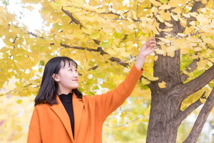 全女性学生汉服品牌盘点，美丽与文化的完美融合