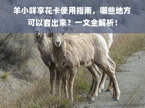 羊小咩享花卡使用指南，哪些地方可以套出来？一文全解析！