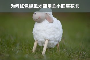 为何红包提现才能用羊小咩享花卡