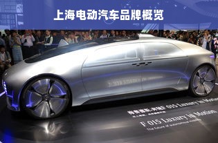 上海电动汽车品牌概览
