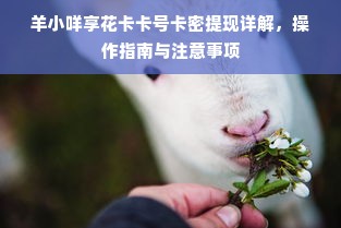 羊小咩享花卡卡号卡密提现详解，操作指南与注意事项