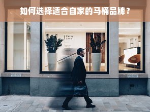 如何选择适合自家的马桶品牌？