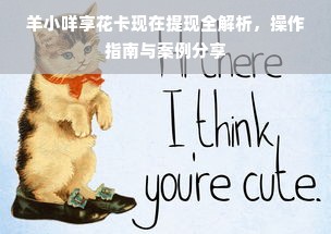 羊小咩享花卡现在提现全解析，操作指南与案例分享