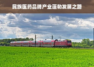 民族医药品牌产业蓬勃发展之路