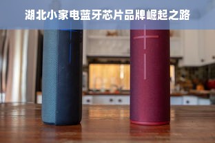 湖北小家电蓝牙芯片品牌崛起之路