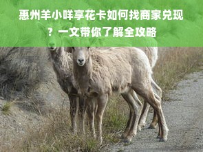 惠州羊小咩享花卡如何找商家兑现？一文带你了解全攻略