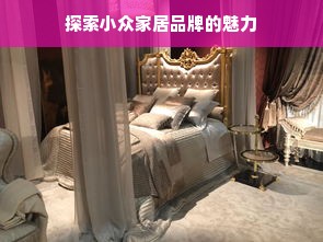 探索小众家居品牌的魅力