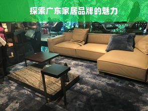 探索广东家居品牌的魅力