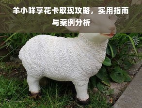 羊小咩享花卡取现攻略，实用指南与案例分析