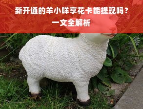 新开通的羊小咩享花卡能提现吗？一文全解析