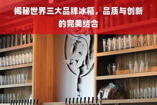 揭秘世界三大品牌冰箱，品质与创新的完美结合