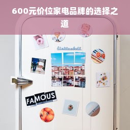 随州市家居家电品牌探秘，品质与创新的完美结合