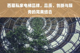 西藏私家电梯品牌，品质、创新与服务的完美结合