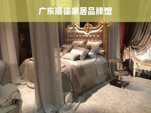 广东顺德家居品牌馆