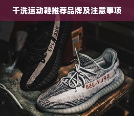 干洗运动鞋推荐品牌及注意事项