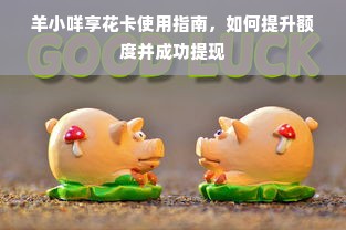 羊小咩享花卡使用指南，如何提升额度并成功提现