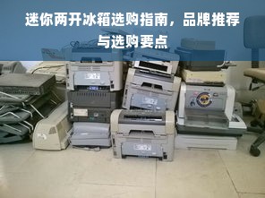 迷你两开冰箱选购指南，品牌推荐与选购要点