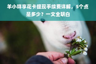 羊小咩享花卡提现手续费详解，5个点是多少？一文全明白