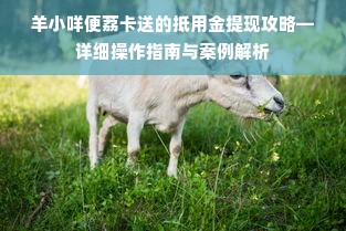 羊小咩便荔卡送的抵用金提现攻略—详细操作指南与案例解析