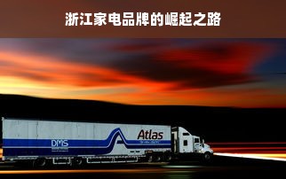 浙江家电品牌的崛起之路