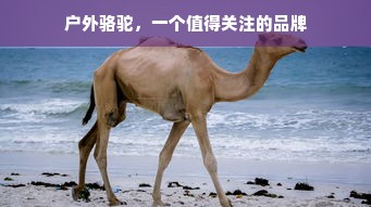 户外骆驼，一个值得关注的品牌