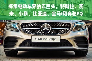 探索电动车界的五巨头，特斯拉、蔚来、小鹏、比亚迪、宝马i和奔驰EQ