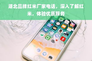 如何让品牌面膜在市场上脱颖而出—全方位运营攻略