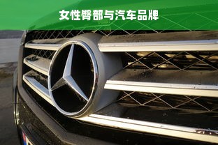 女性臀部与汽车品牌