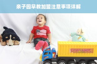 亲子园早教加盟注意事项详解