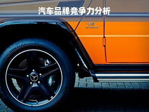 汽车品牌竞争力分析