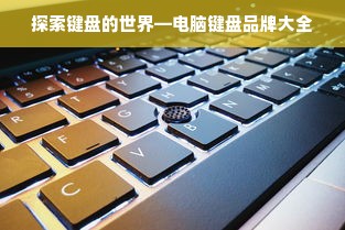 探索键盘的世界—电脑键盘品牌大全
