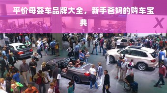 平价母婴车品牌大全，新手爸妈的购车宝典