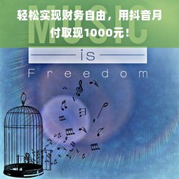轻松实现财务自由，用抖音月付取现1000元！