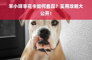羊小咩享花卡如何套现？实用攻略大公开！