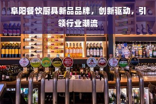 阜阳餐饮厨具新品品牌，创新驱动，引领行业潮流