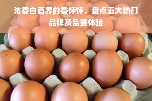 浓香白酒界的香饽饽，盘点五大热门品牌及品鉴体验
