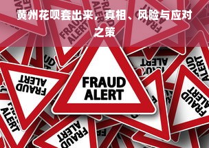 黄州花呗套出来，真相、风险与应对之策