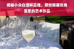 揭秘小众白酒杯品牌，那些隐藏在角落里的艺术珍品