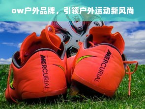 揭秘京东白条额度背后的秘密，如何提升额度与黑户白条额度探讨