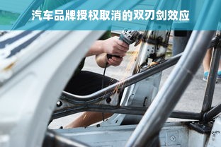汽车品牌授权取消的双刃剑效应