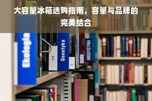 大容量冰箱选购指南，容量与品牌的完美结合