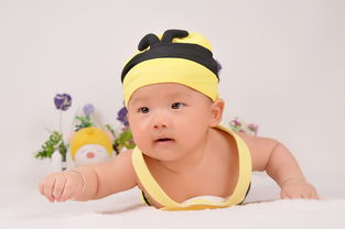 母婴品牌送礼攻略，贴心之选，关爱宝宝与妈妈