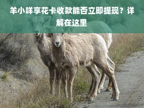揭秘中国白酒价位巅峰，盘点那些动辄万元以上的顶级品牌