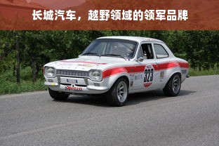京东白条额度攻略，如何提升额度及揭秘十万额度来源