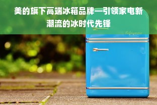 美的旗下高端冰箱品牌—引领家电新潮流的冰时代先锋