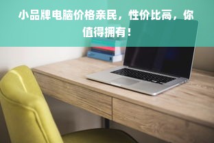 小品牌电脑价格亲民，性价比高，你值得拥有！