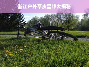 浙江户外草皮品牌大揭秘