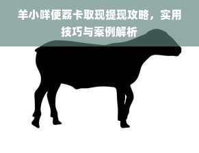 羊小咩便荔卡取现提现攻略，实用技巧与案例解析
