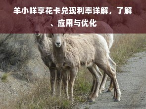 羊小咩享花卡兑现利率详解，了解、应用与优化